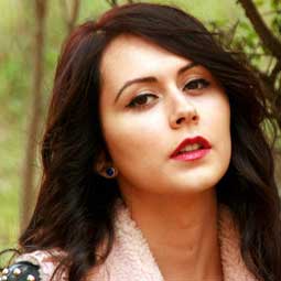 服务器攻击软件